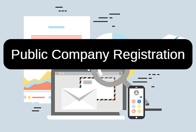 Public limited company